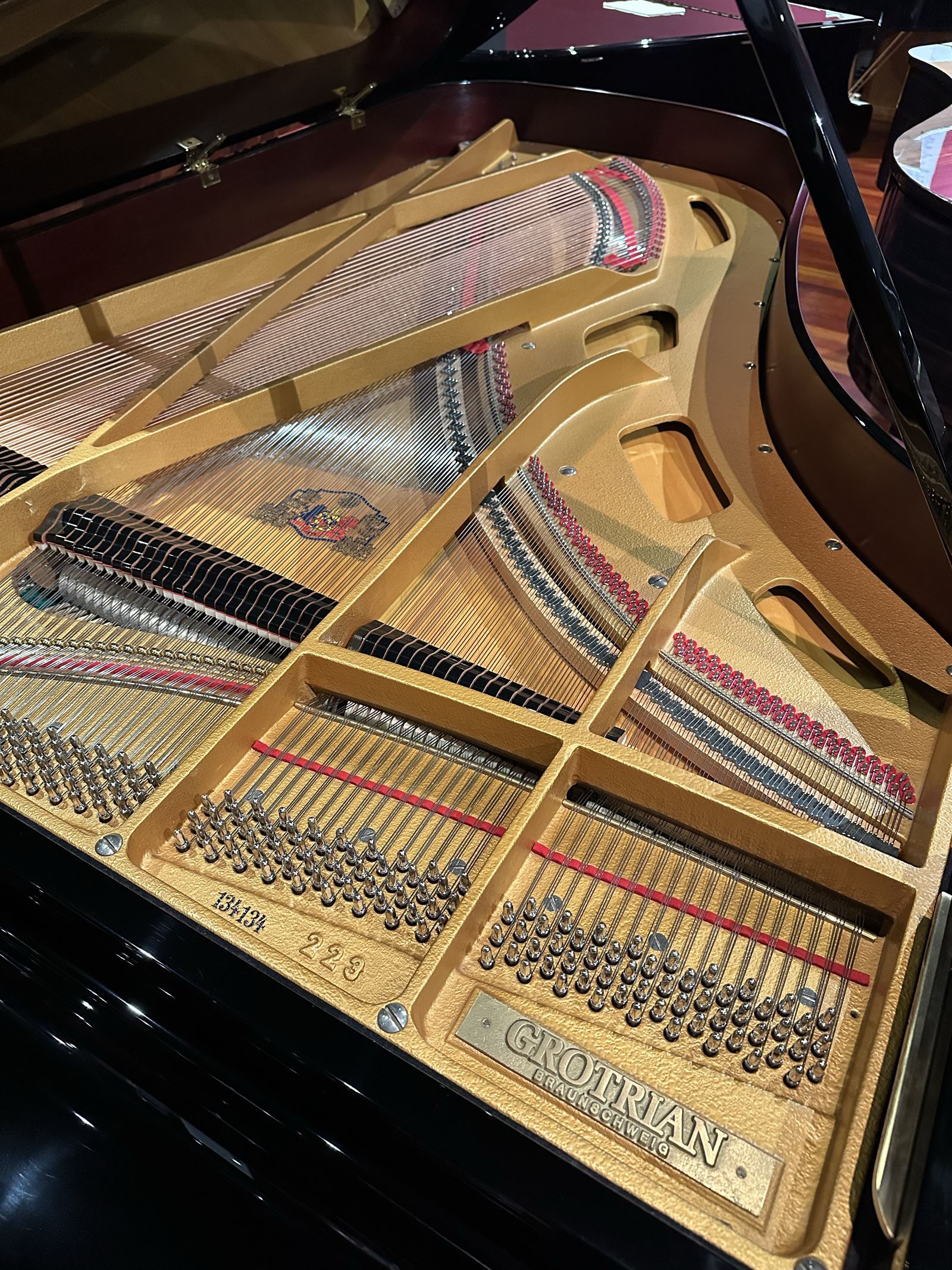 Grotrian-Steinweg 223