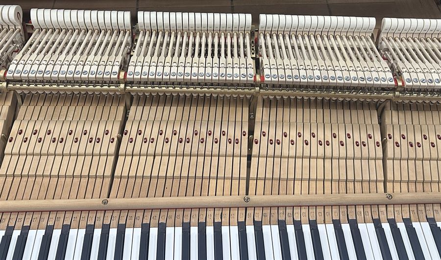 Steinway & Sons Model D 8ft 11 3/4" Concert Grand - Authentically Restored