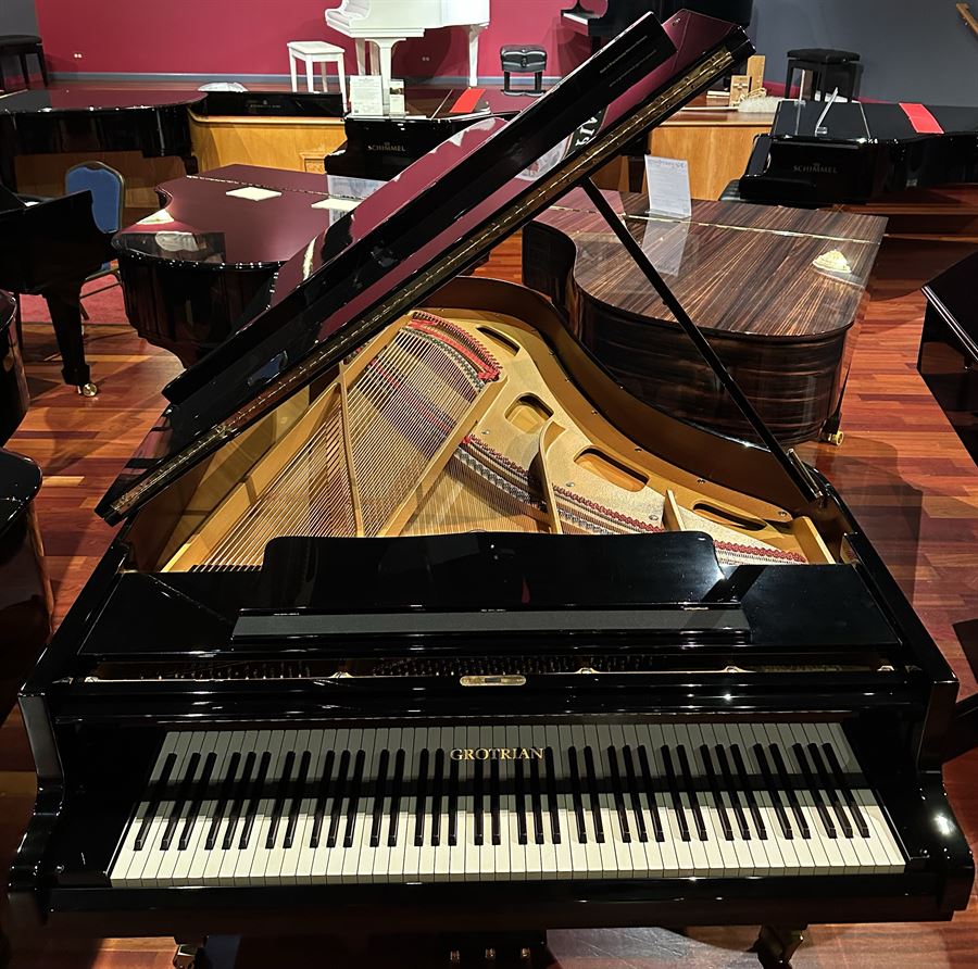 Grotrian-Steinweg 223